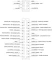 AWS ellenőrzőmodul beépítése Mondeo MK I be 18.jpg